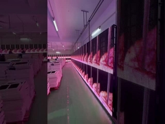 Świetne oświetlenie LED Wynajem wydarzeń Szklane zasłony82