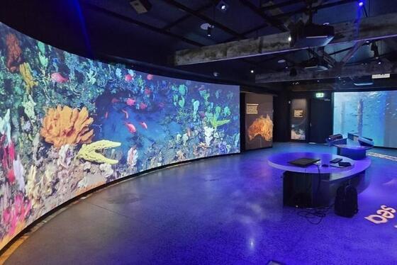 860cd / M2 Zakrzywiona ściana wideo LED Digital Signage Wyświetlacz 196V do 264V